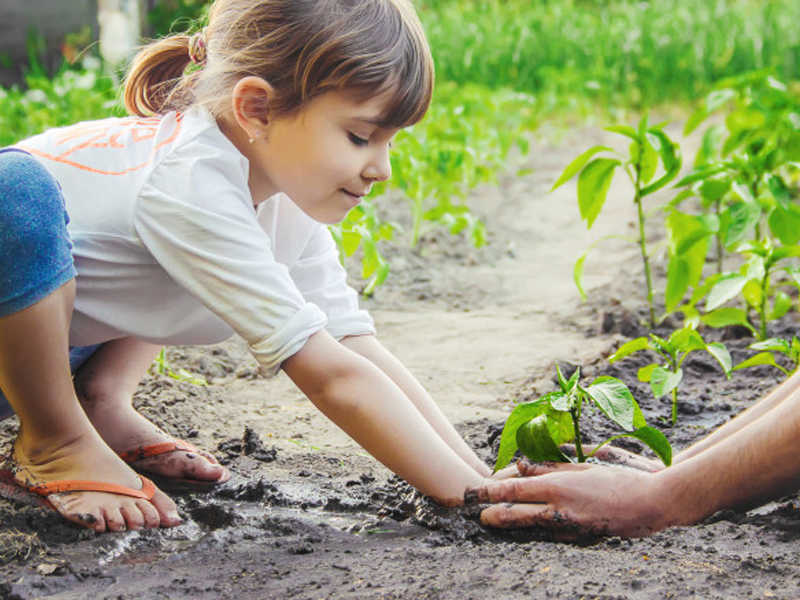 A Escola Infantil Alfabeto oferece aos seus alunos aula extracurricular de Educação Ambiental e Sustentabilidade. Nesta aula, elas aprendem a valorizar e amar a natureza e os elementos que a formam - como as plantas e os animais.